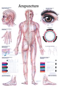 Ch10 Plakāts – akupunktūras punkti