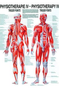 Plakāts – trigerpunkti