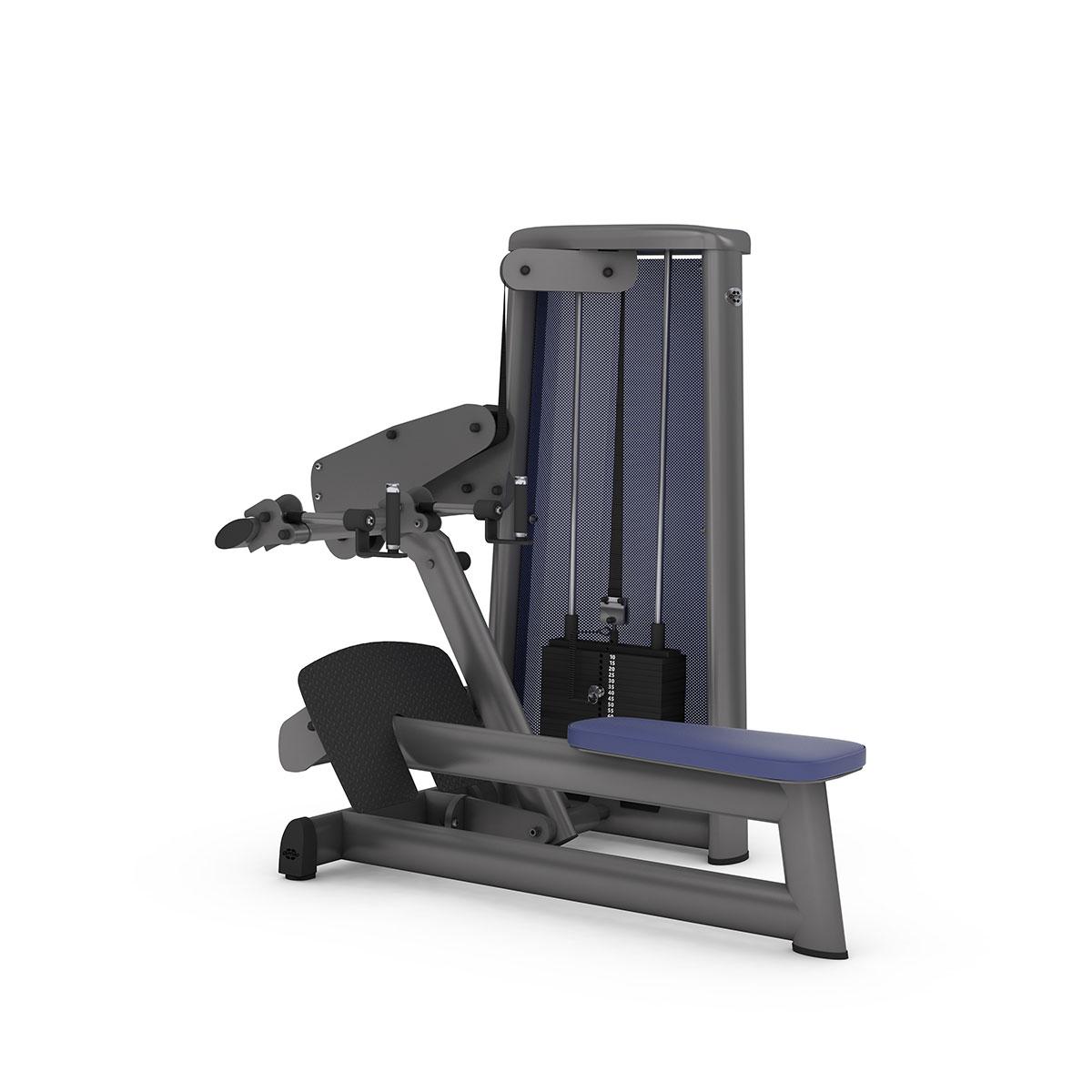 Gym80_sygnumstandard_seared-row-trenazieris-37