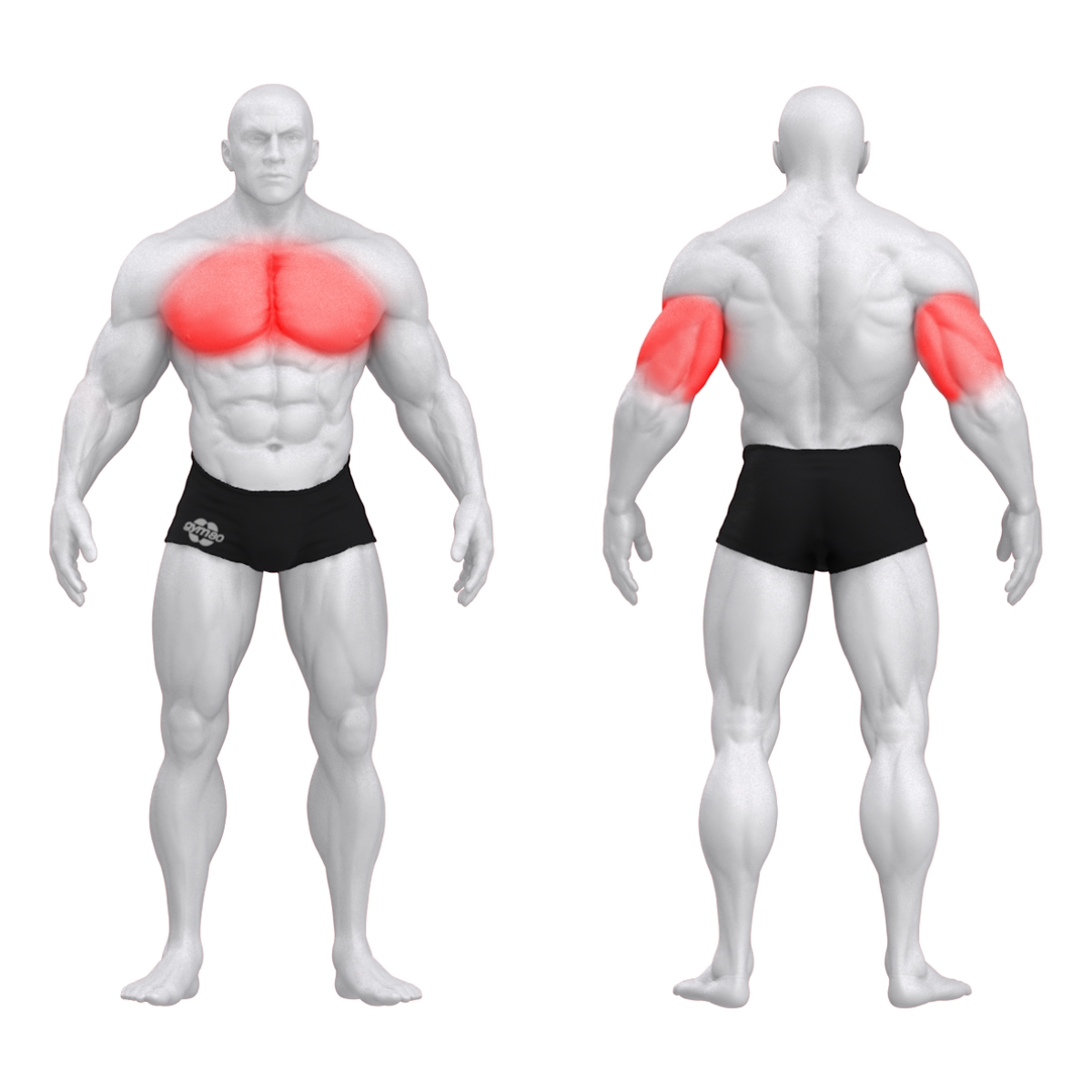 Gym80 Sygnum Standard krūšu spiešanas trenažieris ar šauru tvērienu 04