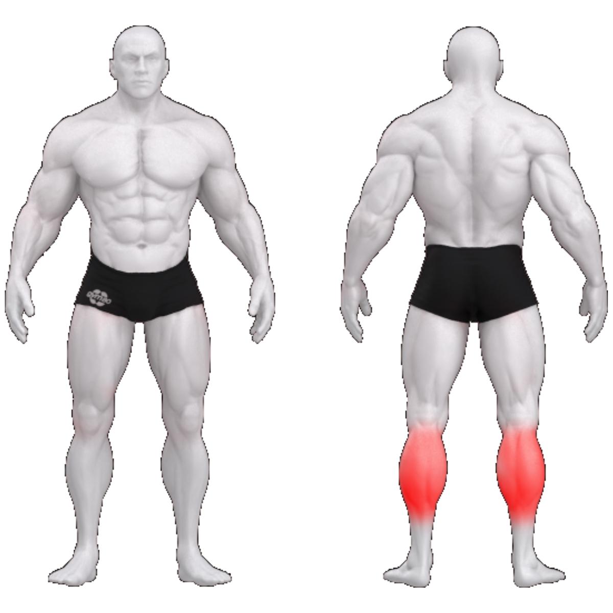 Gym80 Pure Kraft ikru trenažieris , kāju treniņš