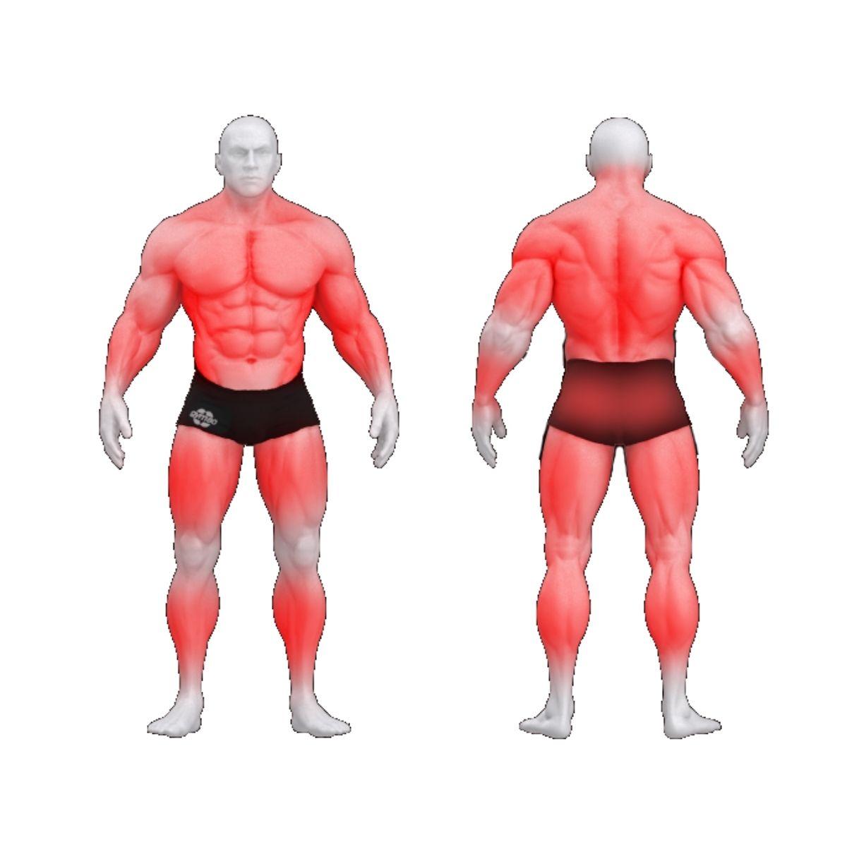 Gym80_4423_harjoitettavat-alueet