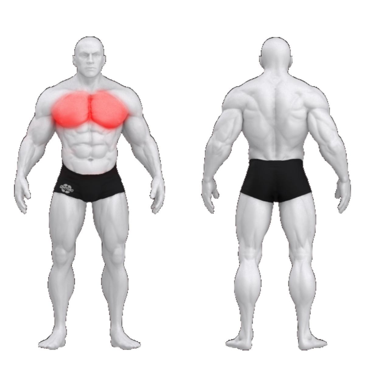 Gym80 Krūšu muskulatūras crossover trenažieris, Sygnum Standard 01