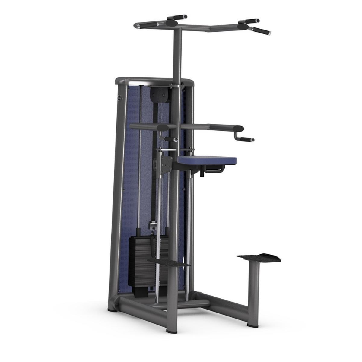 Gym80 Assisted Dip & Pull-Up trenažieris, Sygnum Standard