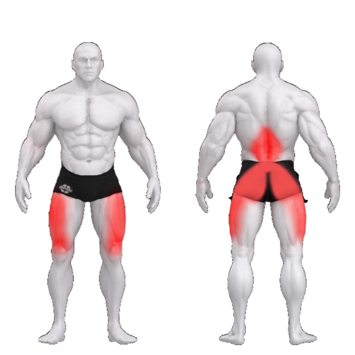 Gym80 Pietupienu trenažieris ar brīvo svaru uzlādi, Pure Kraft-2