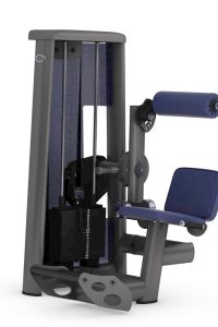 Gym80 Muguras ekstenzijas trenažieris, Sygnum Standard