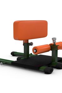 Gym80 Sissy Squat statīvs, Functional