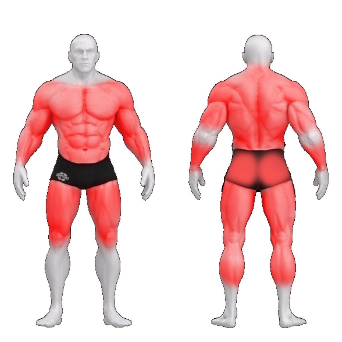 Gym80 Kabeļu crossover stacija, Sygnum Standard-5