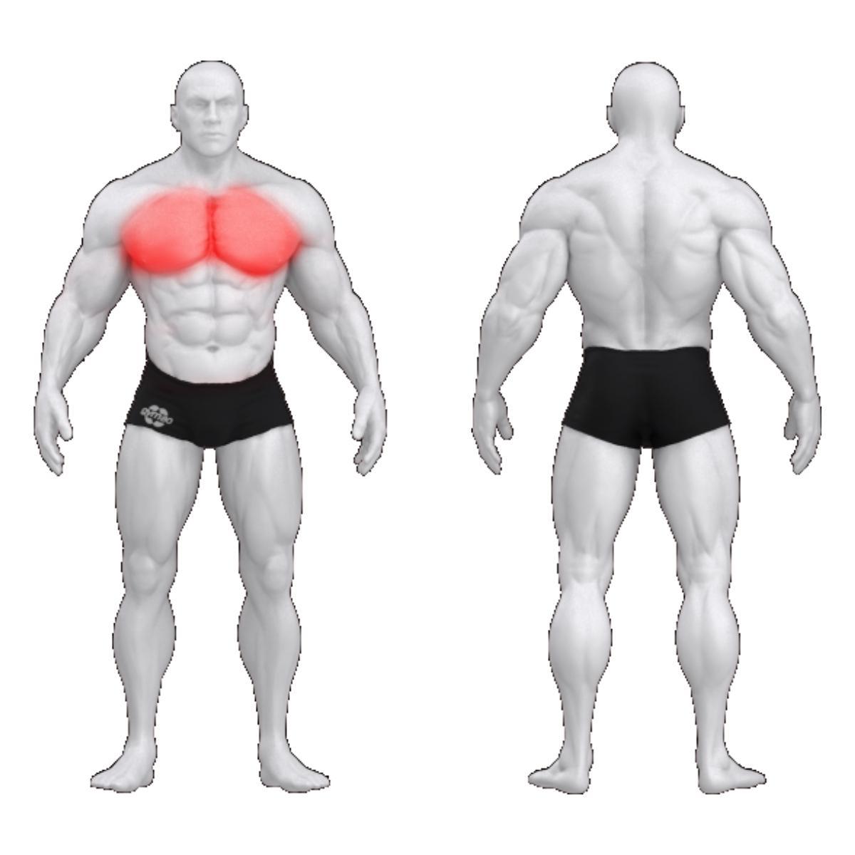 Gym80 Krūšu muskulatūras trenažieris, Sygnum Standard 06