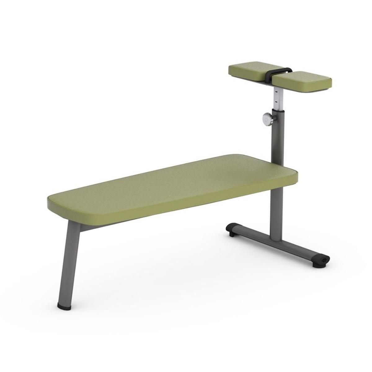 Gym80 Sygnum Basic Abdominal Bench