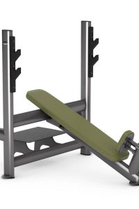 Gym80 Sygnum Basic Incline Bench Press