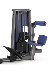 Gym80 Muguras ekstenzijas trenažieris, Sygnum Standard