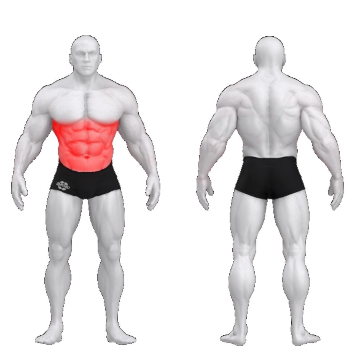 Gym80 Korsetes zonas rotācijas trenažieris, Sygnum Standard 02