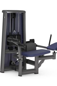 Gym80 Vēdera preses trenažieris, Sygnum Standard