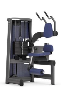 Gym80 Vēdera preses trenažieris, Sygnum Standard