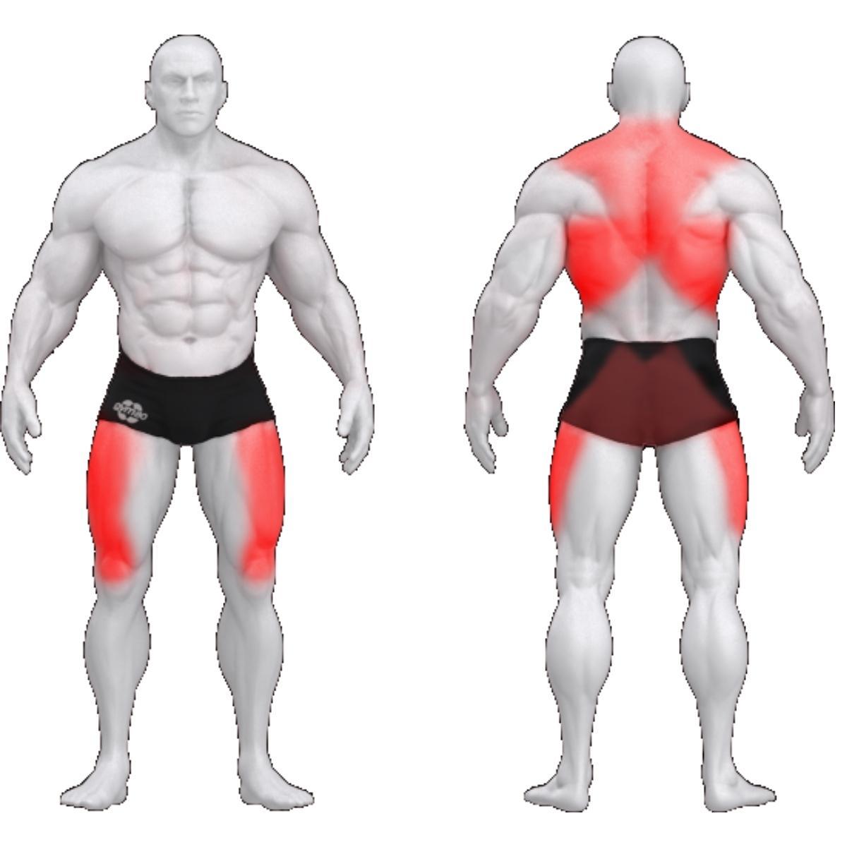 Gym_80_soutulaite_lihakset