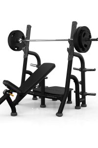 Matrix Magnum Olympic Incline Bench