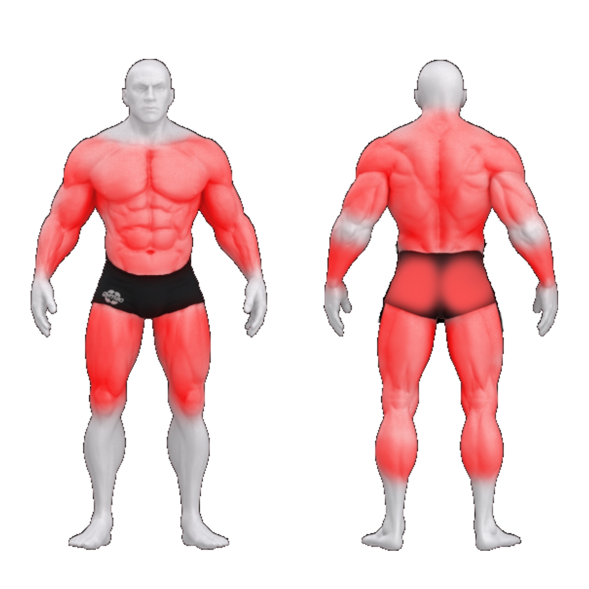 Gym80, Sygnum Standard Pulley Explosive trenažieris 02
