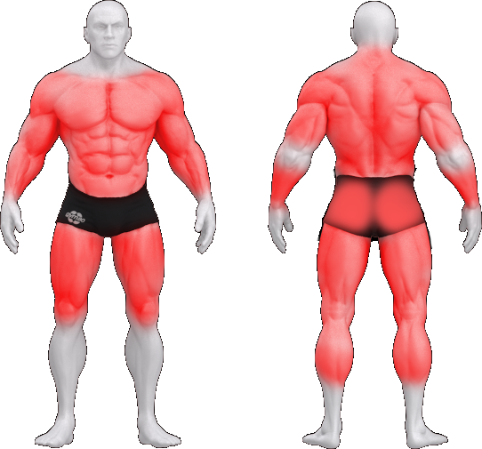 gym80_0028_body_universell_verschiedenste_muskelgruppen_b