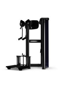 GYM 80 Sygnum Standard STANDING SHOULDER LATERAL RAISE