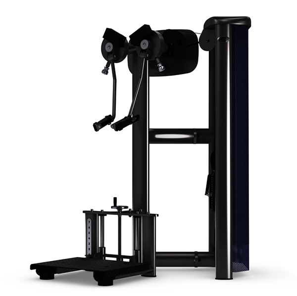 GYM 80 Sygnum Standard STANDING SHOULDER LATERAL RAISE