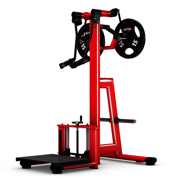 GYM80 Pure Kraft Standing Shoulder Lateral Raise