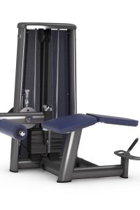 Gym80 Sygnum Standard- Leg curl trenažieris guļus pozīcijā