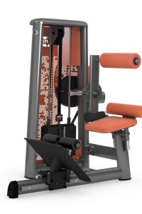 Gym80 Vēdera un muguras trenažieris, Innovation Kombi