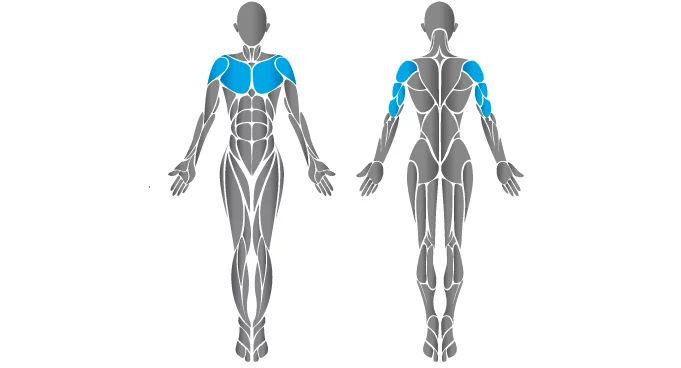 mg-chest-press