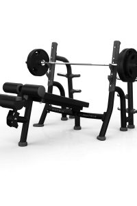 Matrix Magnum Olympic Decline Bench